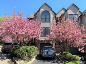 Trees at the front porch blossom seasonally
